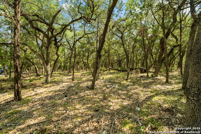 Image 10 of 28 For 1775 Lost Trl