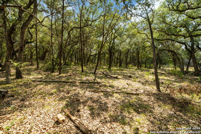 Image 11 of 28 For 1775 Lost Trl