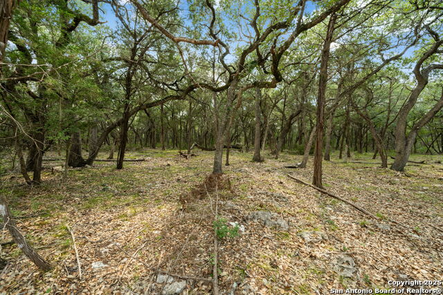 Image 12 of 28 For 1775 Lost Trl