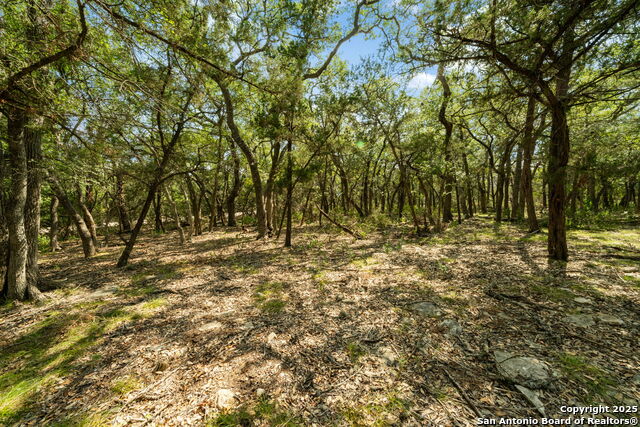 Image 4 of 28 For 1775 Lost Trl