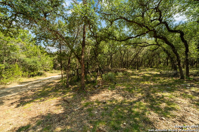 Image 5 of 28 For 1775 Lost Trl