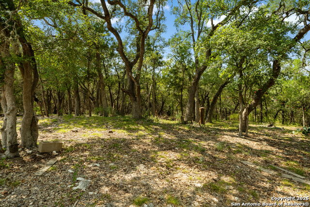 Image 6 of 28 For 1775 Lost Trl