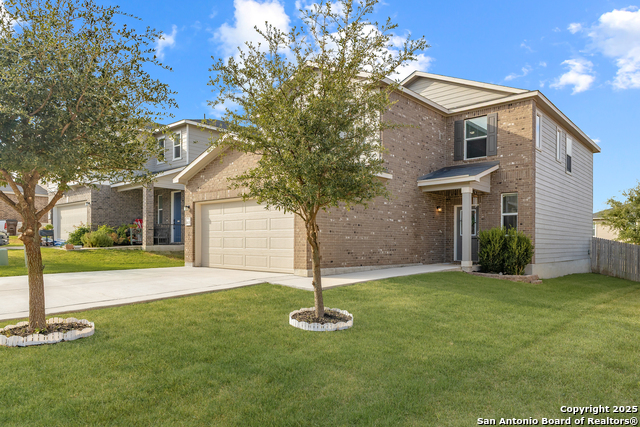 Image 2 of 34 For 14626 Jocasta