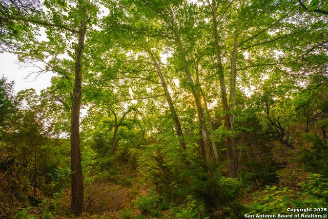 Image 6 of 36 For 105 Bella Springs