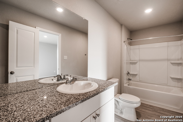 Image 10 of 16 For 2623 Pechora Pipit