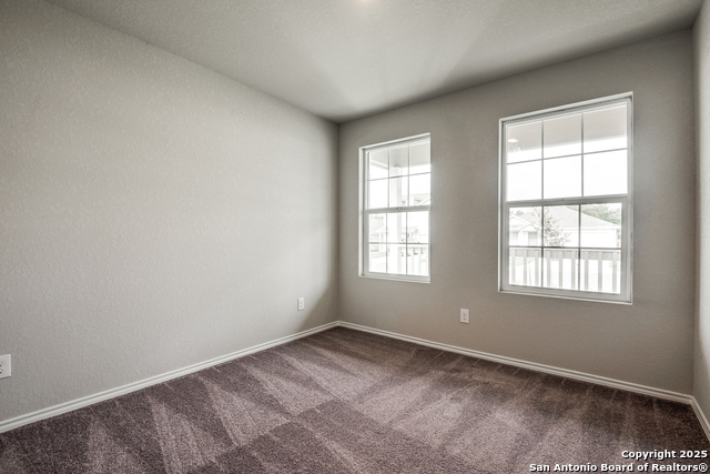 Image 11 of 16 For 2623 Pechora Pipit