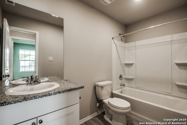 Image 12 of 16 For 2623 Pechora Pipit