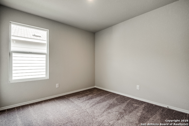 Image 13 of 16 For 2623 Pechora Pipit