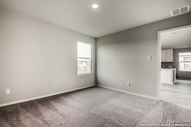 Image 9 of 16 For 2623 Pechora Pipit