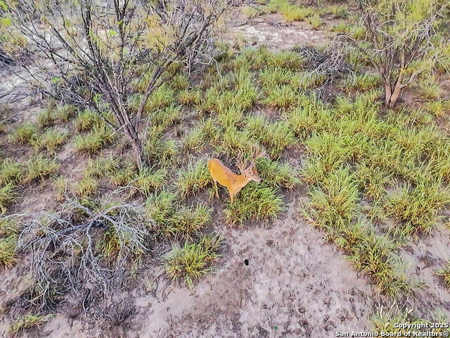 Listing photo id 35 for Tbd Fm 1986  