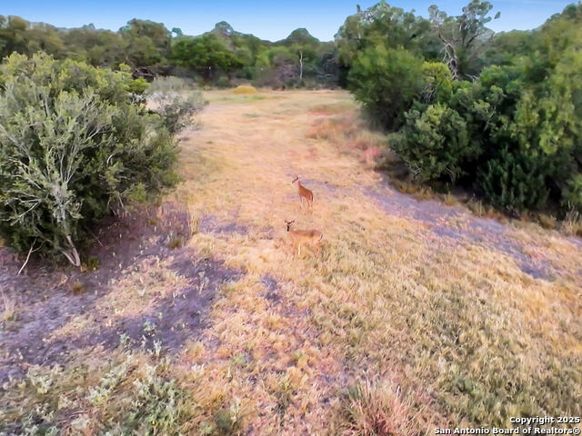 Listing photo id 36 for Tbd Fm 1986  