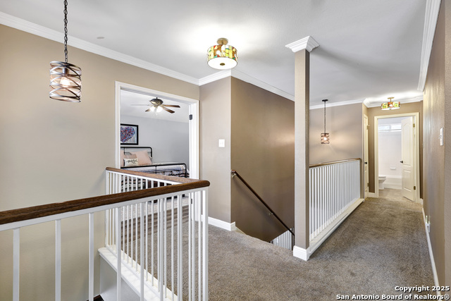 Listing photo id 10 for 11602 Shotgun Way