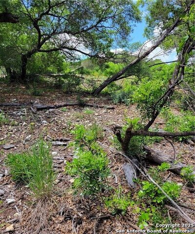 Listing photo id 1 for 1745 Tbd Private Road