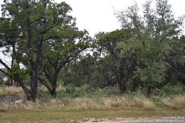 Listing photo id 2 for 20003 Terra Canyon