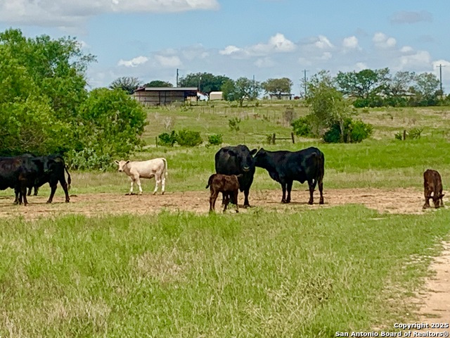 Details for 53.33 Kotara Lane-county Road 257, Floresville, TX 78114