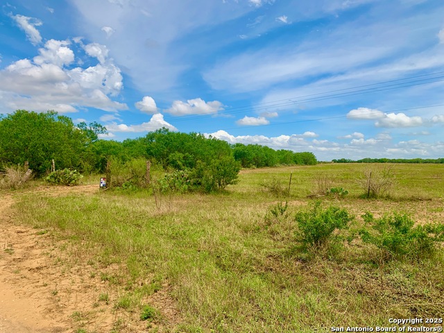 Details for 27.5 Acs Tbd Kotara Ln-cr 257, Floresville, TX 78114
