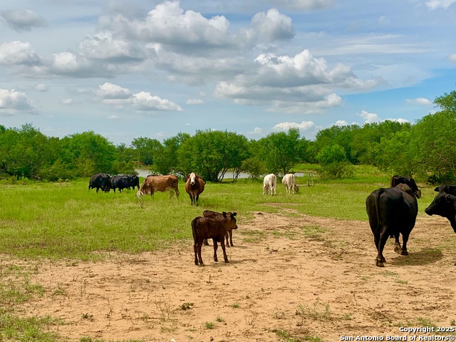 Image 15 of 40 For 27.5 Acs Tbd Kotara Ln-cr 257