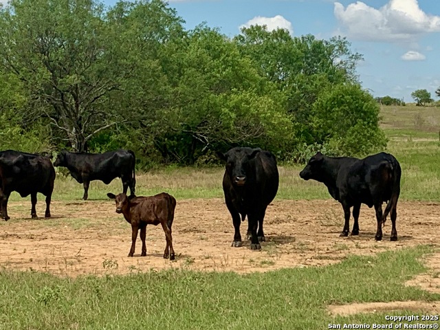Image 19 of 40 For 27.5 Acs Tbd Kotara Ln-cr 257