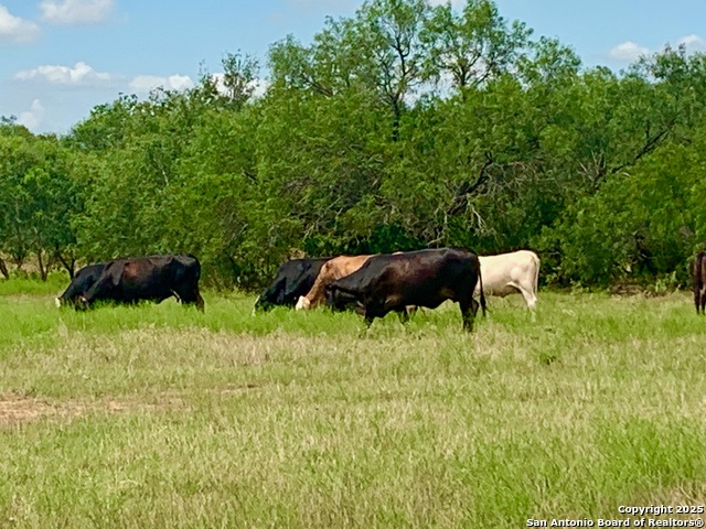 Image 20 of 40 For 27.5 Acs Tbd Kotara Ln-cr 257