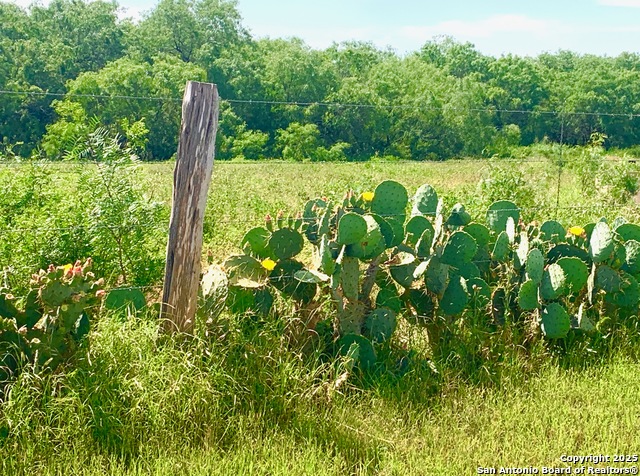 Image 21 of 40 For 27.5 Acs Tbd Kotara Ln-cr 257