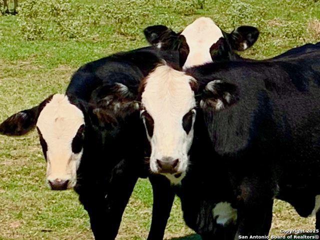 Image 23 of 40 For 27.5 Acs Tbd Kotara Ln-cr 257