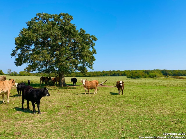 Image 27 of 40 For 27.5 Acs Tbd Kotara Ln-cr 257