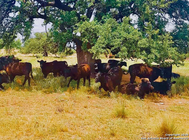 Image 31 of 40 For 27.5 Acs Tbd Kotara Ln-cr 257
