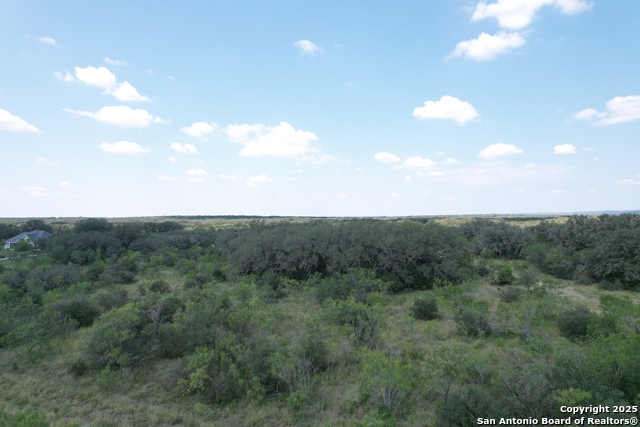 Image 11 of 19 For 33 Utopia Forest