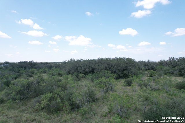 Image 12 of 19 For 33 Utopia Forest