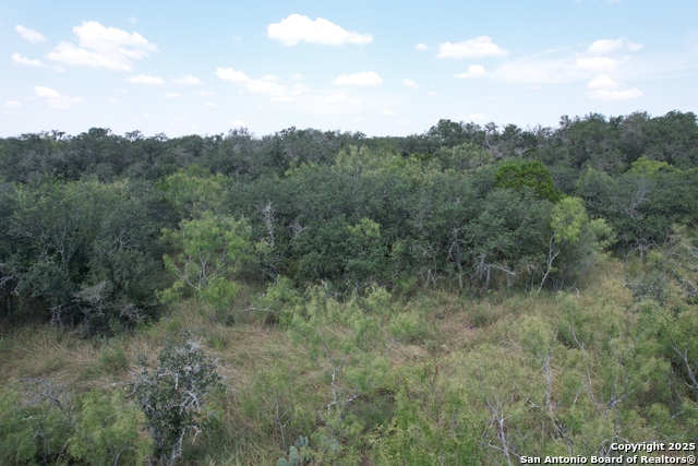 Image 13 of 19 For 33 Utopia Forest