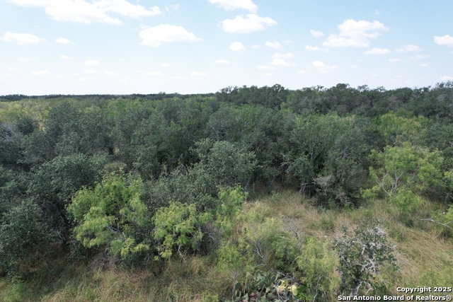 Image 15 of 19 For 33 Utopia Forest