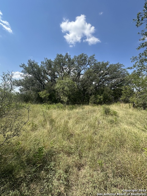 Image 18 of 19 For 33 Utopia Forest