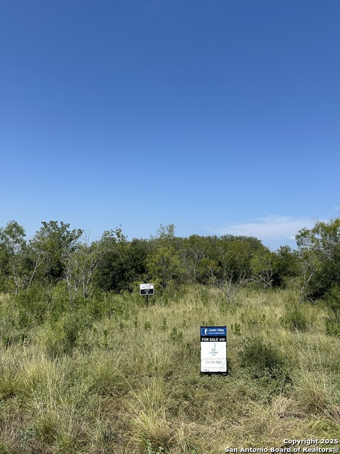 Image 2 of 19 For 33 Utopia Forest