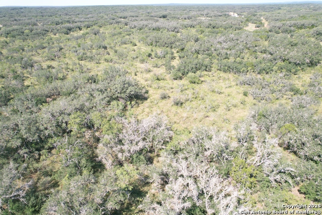 Image 7 of 19 For 33 Utopia Forest