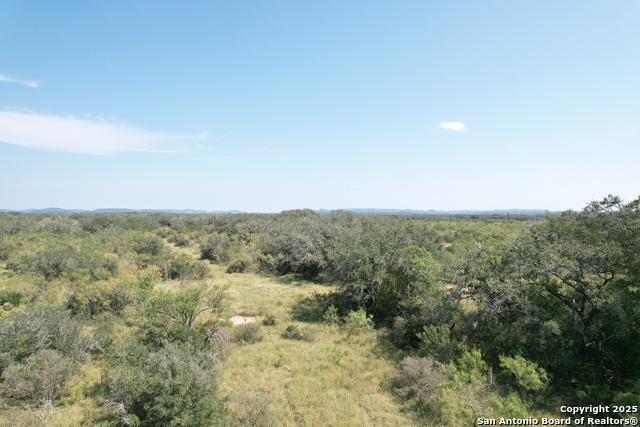 Image 9 of 19 For 33 Utopia Forest