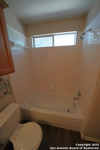 Image 25 of 37 For 4039 Mistflower