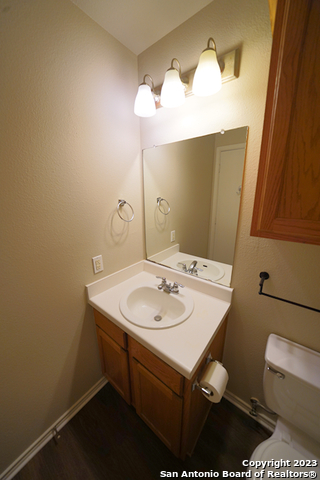 Image 28 of 37 For 4039 Mistflower