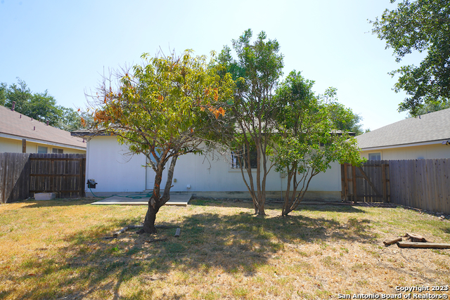 Image 32 of 37 For 4039 Mistflower