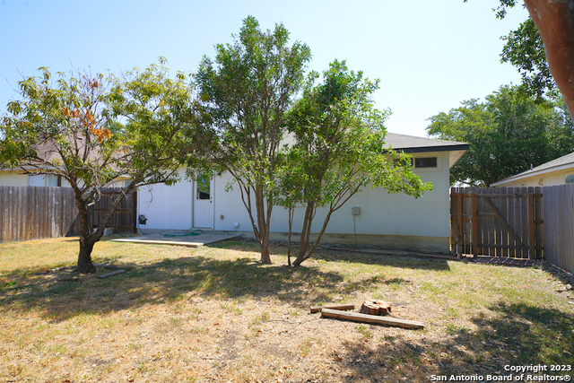Image 36 of 37 For 4039 Mistflower