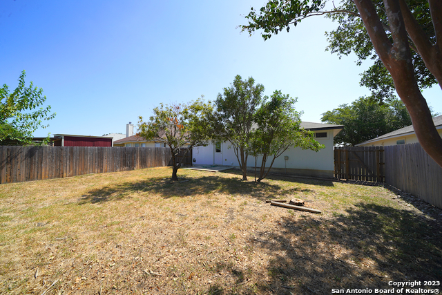 Image 37 of 37 For 4039 Mistflower