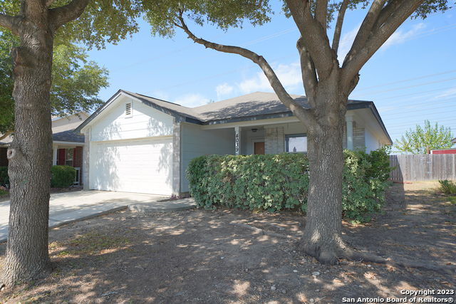Image 5 of 37 For 4039 Mistflower