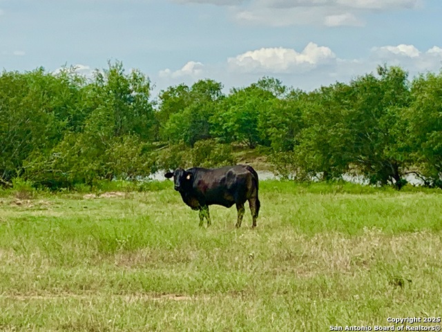 Details for 25.83 Ac Tbd Kotara Ln-cr 257, Floresville, TX 78114