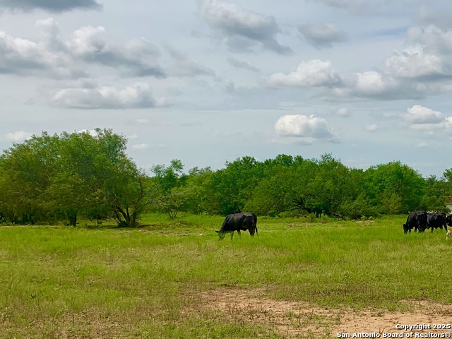 Image 19 of 28 For 25.83 Ac Tbd Kotara Ln-cr 257
