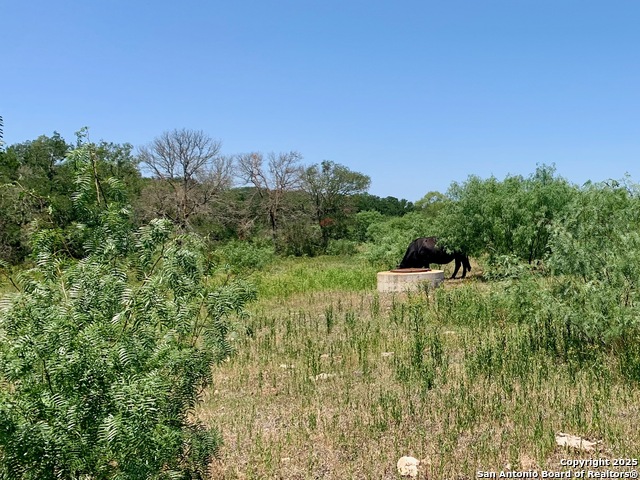 Image 8 of 28 For 25.83 Ac Tbd Kotara Ln-cr 257