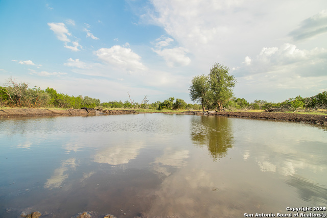 Image 12 of 88 For 9495 Morales Ln