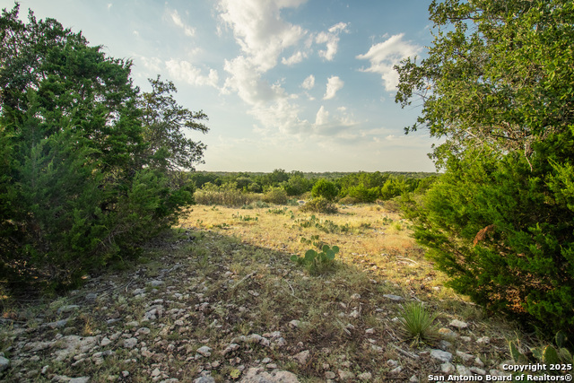 Image 21 of 88 For 9495 Morales Ln