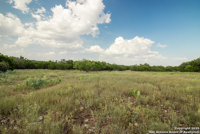 Image 25 of 88 For 9495 Morales Ln