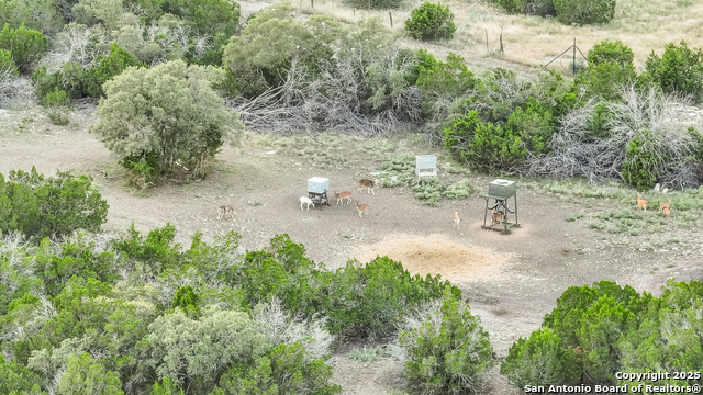 Image 34 of 88 For 9495 Morales Ln