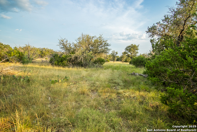 Image 35 of 88 For 9495 Morales Ln