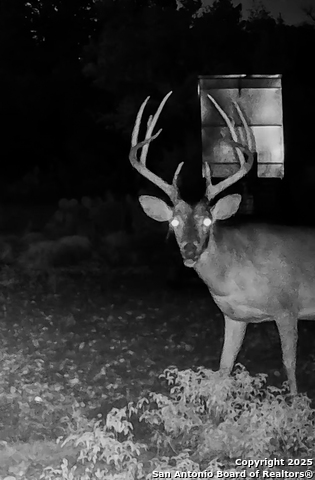 Image 36 of 88 For 9495 Morales Ln